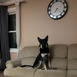 Meet your Posher, Payton